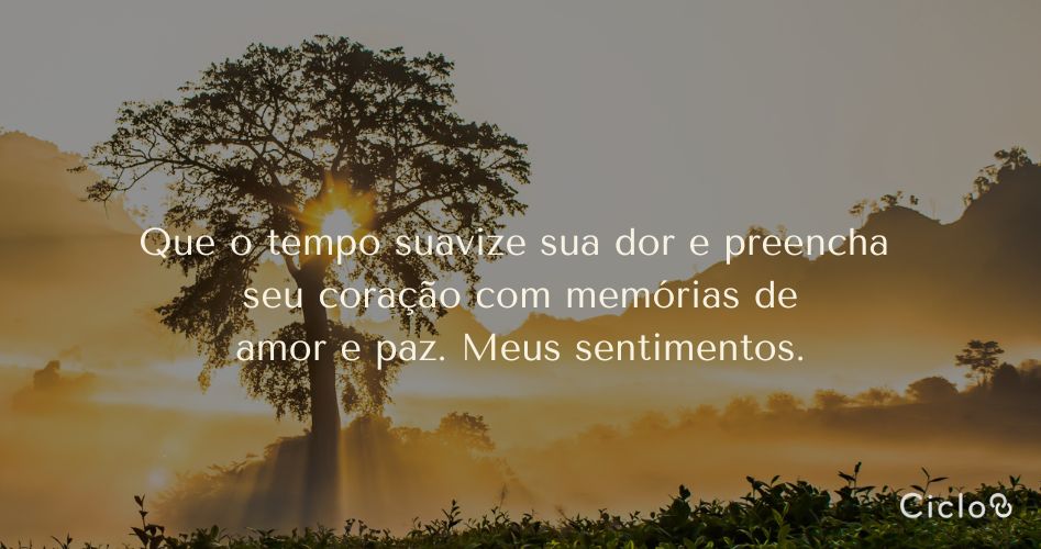 Que o tempo suavize sua dor e preencha seu coração com memórias de amor e paz. Meus sentimentos.