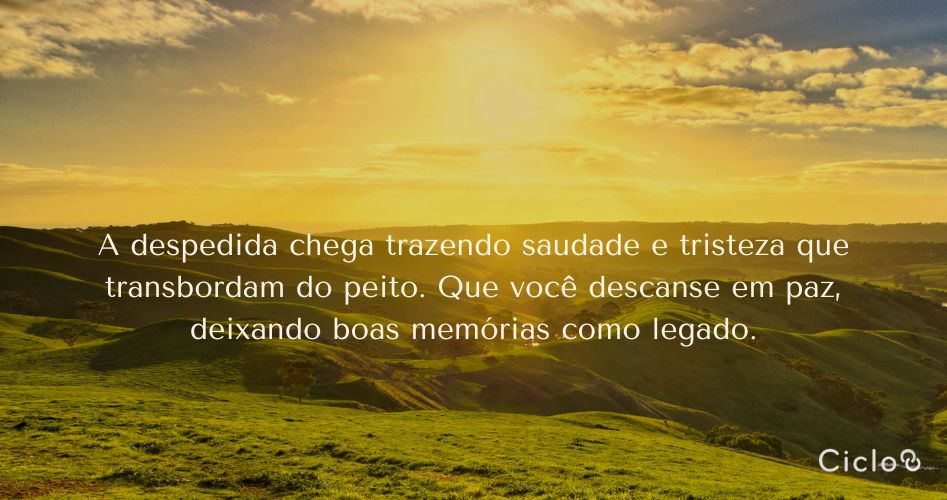A despedida chega trazendo saudade e tristeza que transbordam do peito. Que você descanse em paz, deixando boas memórias como legado.