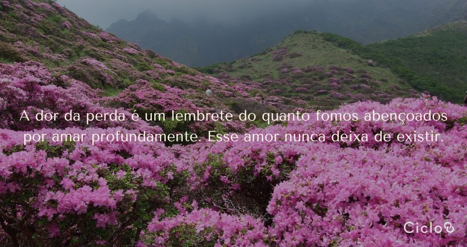 A dor da perda é um lembrete do quanto fomos abençoados por amar profundamente. Esse amor nunca deixa de existir.