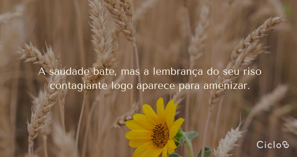 A saudade bate, mas a lembrança do seu riso contagiante logo aparece para amenizar.