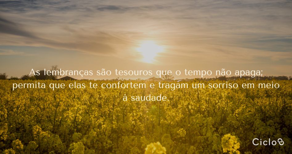 As lembranças são tesouros que o tempo não apaga; permita que elas te confortem e tragam um sorriso em meio à saudade.