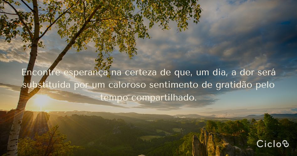 Encontre esperança na certeza de que, um dia, a dor será substituída por um caloroso sentimento de gratidão pelo tempo compartilhado.