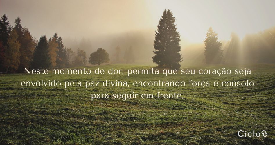 Neste momento de dor, permita que seu coração seja envolvido pela paz divina, encontrando força e consolo para seguir em frente.