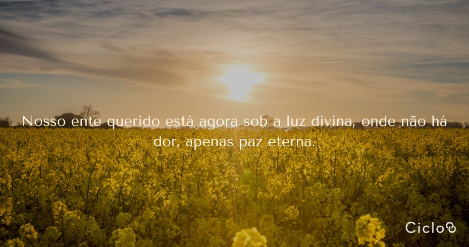 Nosso ente querido está agora sob a luz divina, onde não há dor, apenas paz eterna.