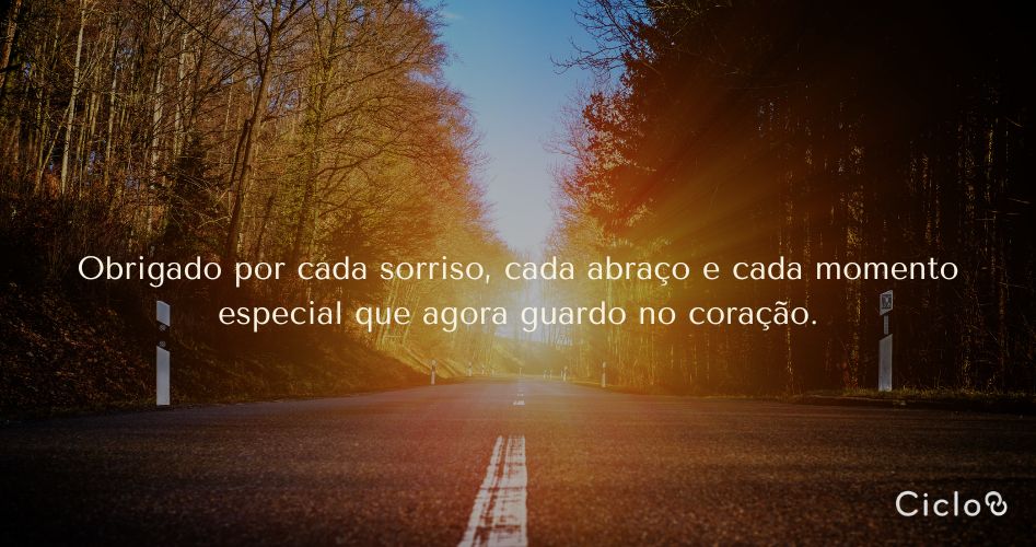 Obrigado por cada sorriso, cada abraço e cada momento especial que agora guardo no coração.