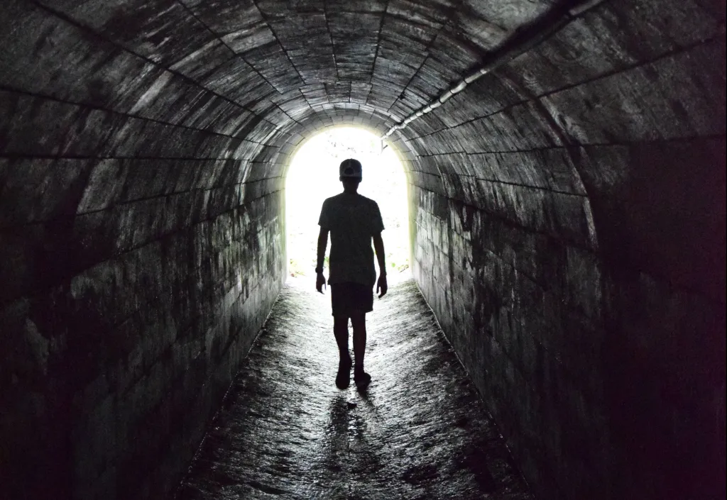 Os Mitos e Realidades sobre a Incidência de Falecimentos ao Longo do Ano: Descubra os Motivos por Trás das Estatísticas de Morte