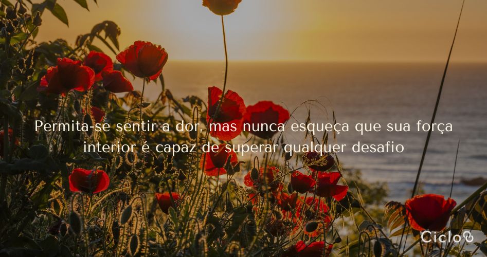 Permita-se sentir a dor, mas nunca esqueça que sua força interior é capaz de superar qualquer desafio
