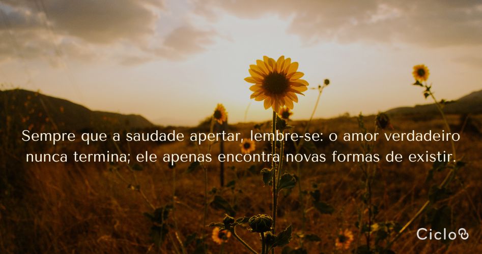 Sempre que a saudade apertar, lembre-se: o amor verdadeiro nunca termina; ele apenas encontra novas formas de existir.