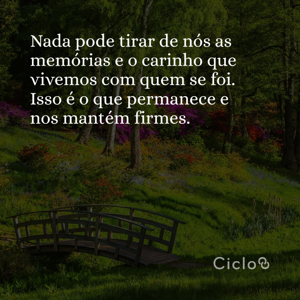 Nada pode tirar de nós as memórias e o carinho que vivemos com quem se  foi. Isso é o que permanece e nos mantém firmes