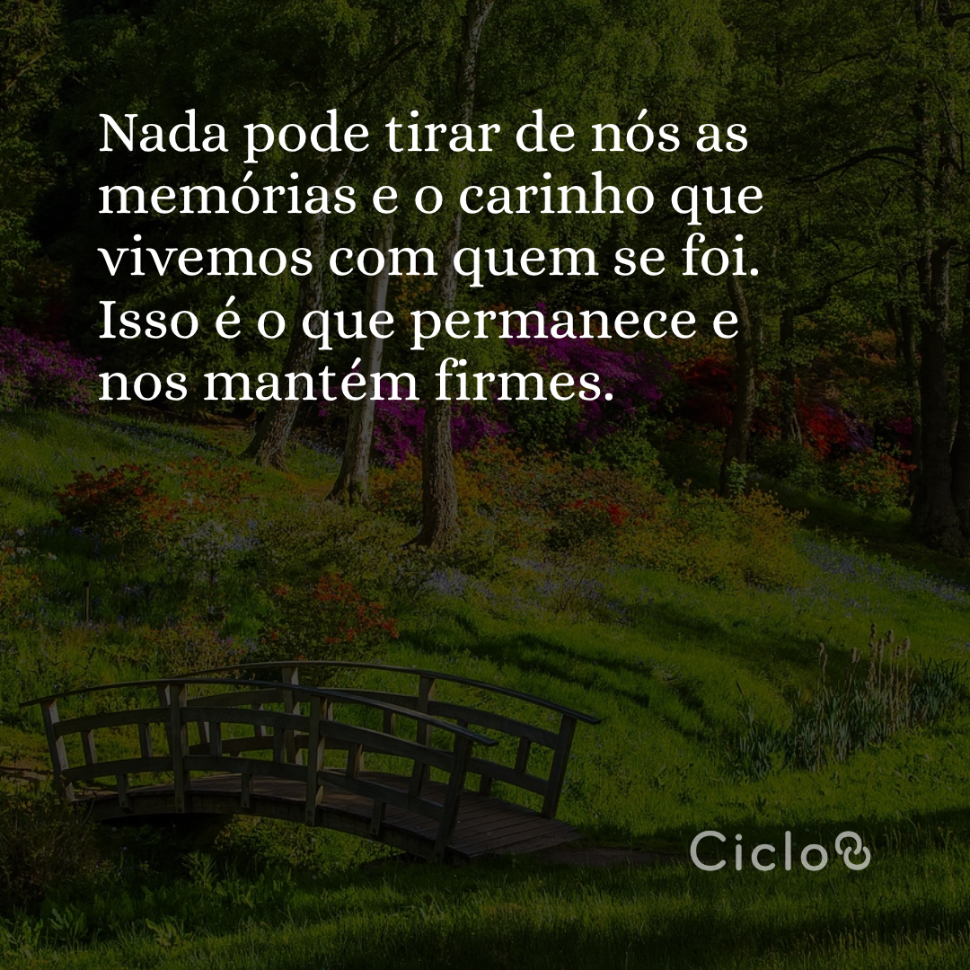 Nada pode tirar de nós as memórias e o carinho que vivemos com quem se  foi. Isso é o que permanece e nos mantém firmes