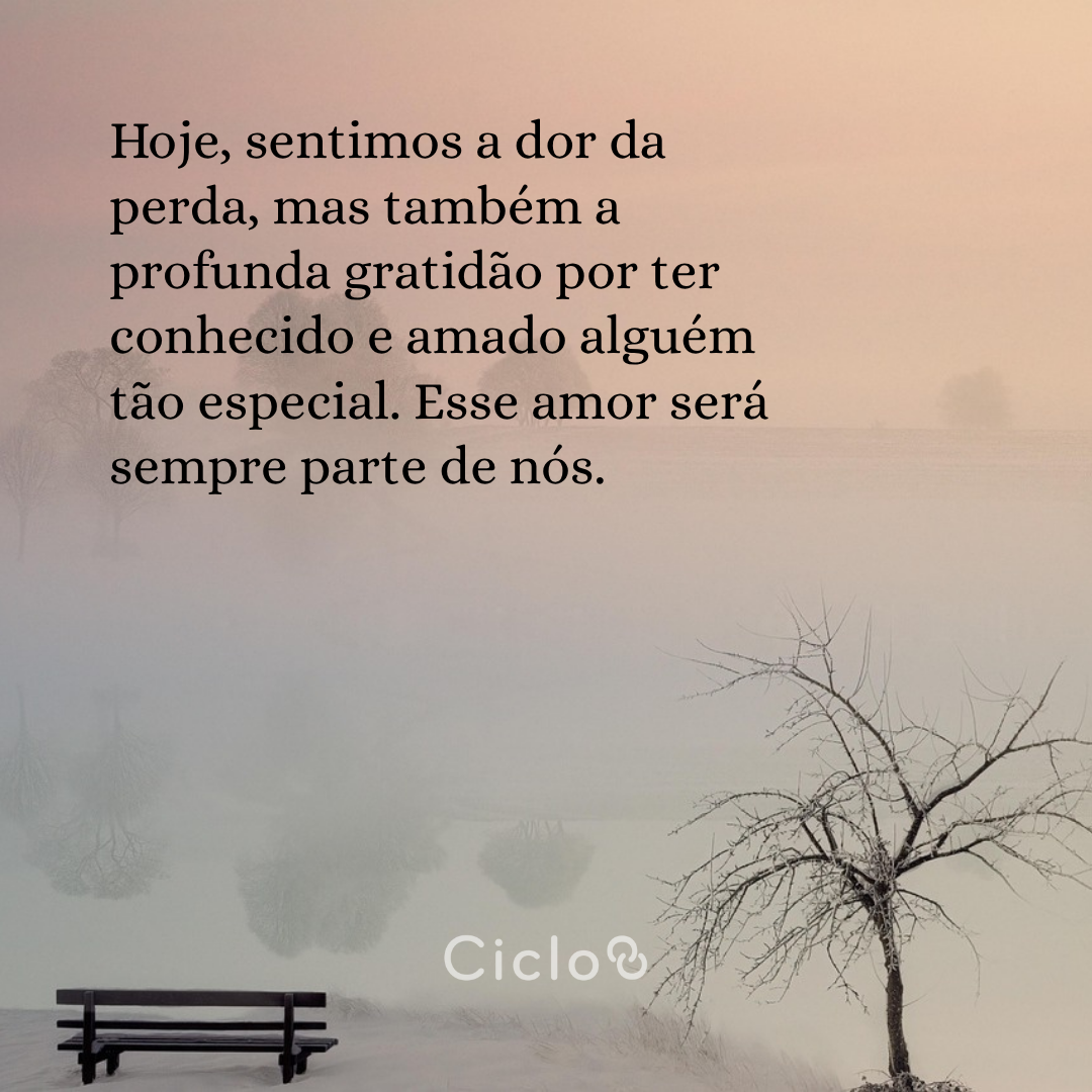 Hoje, sentimos a dor da perda, mas também a profunda gratidão por ter  conhecido e amado alguém tão especial. Esse amor será sempre parte de  nós