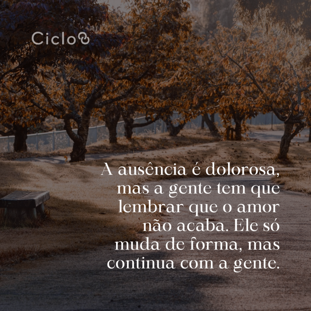 Sei que é difícil, mas a gente precisa seguir em frente, sempre lembrando  com carinho de quem se foi e do que eles significaram pra nós