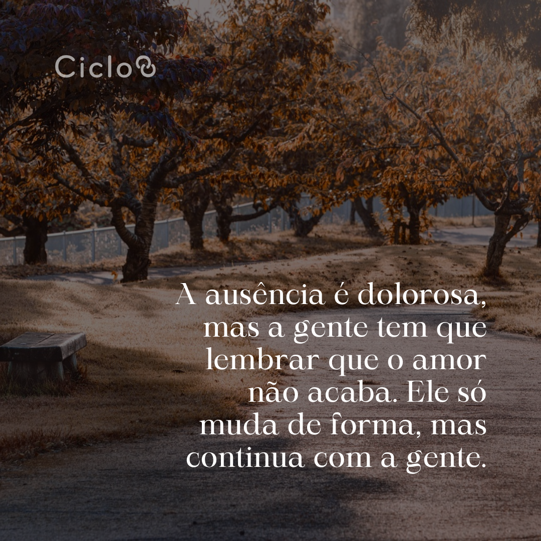 Sei que é difícil, mas a gente precisa seguir em frente, sempre lembrando  com carinho de quem se foi e do que eles significaram pra nós
