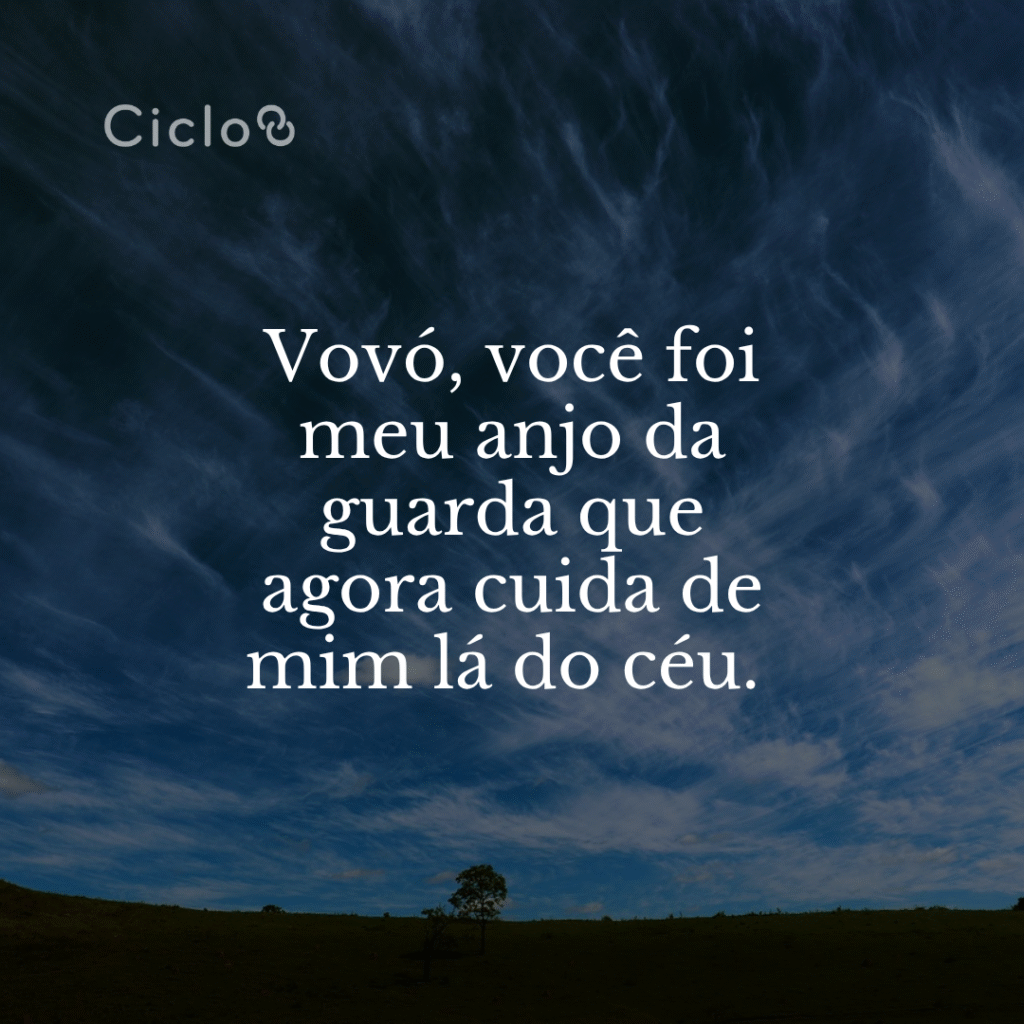 Vovó, você foi meu anjo da guarda que agora cuida de mim lá do céu