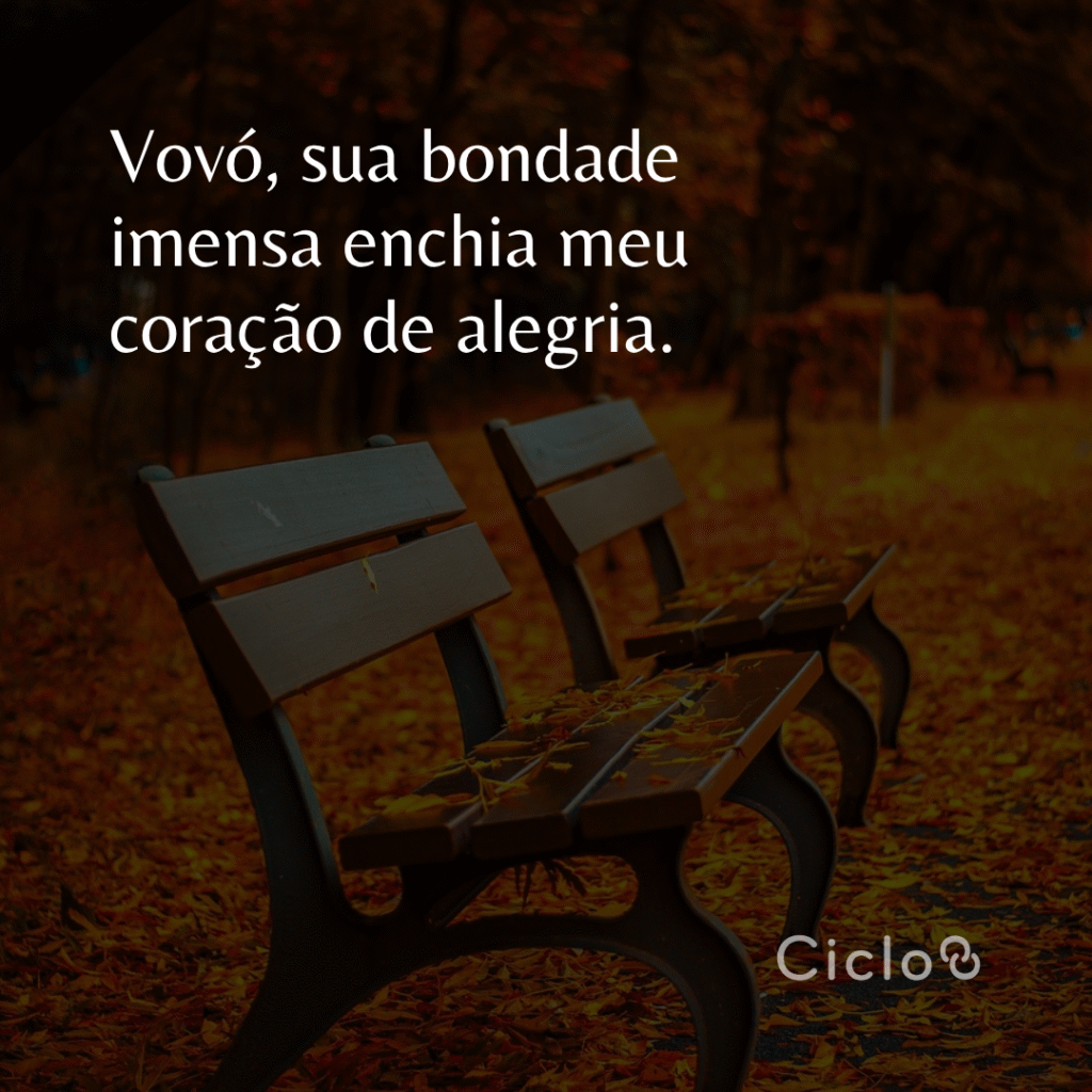 Vovó, sua bondade imensa enchia meu coração de alegria