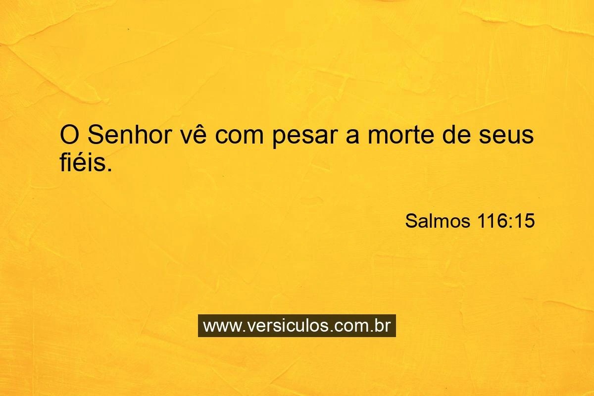 imagem_10.jpg