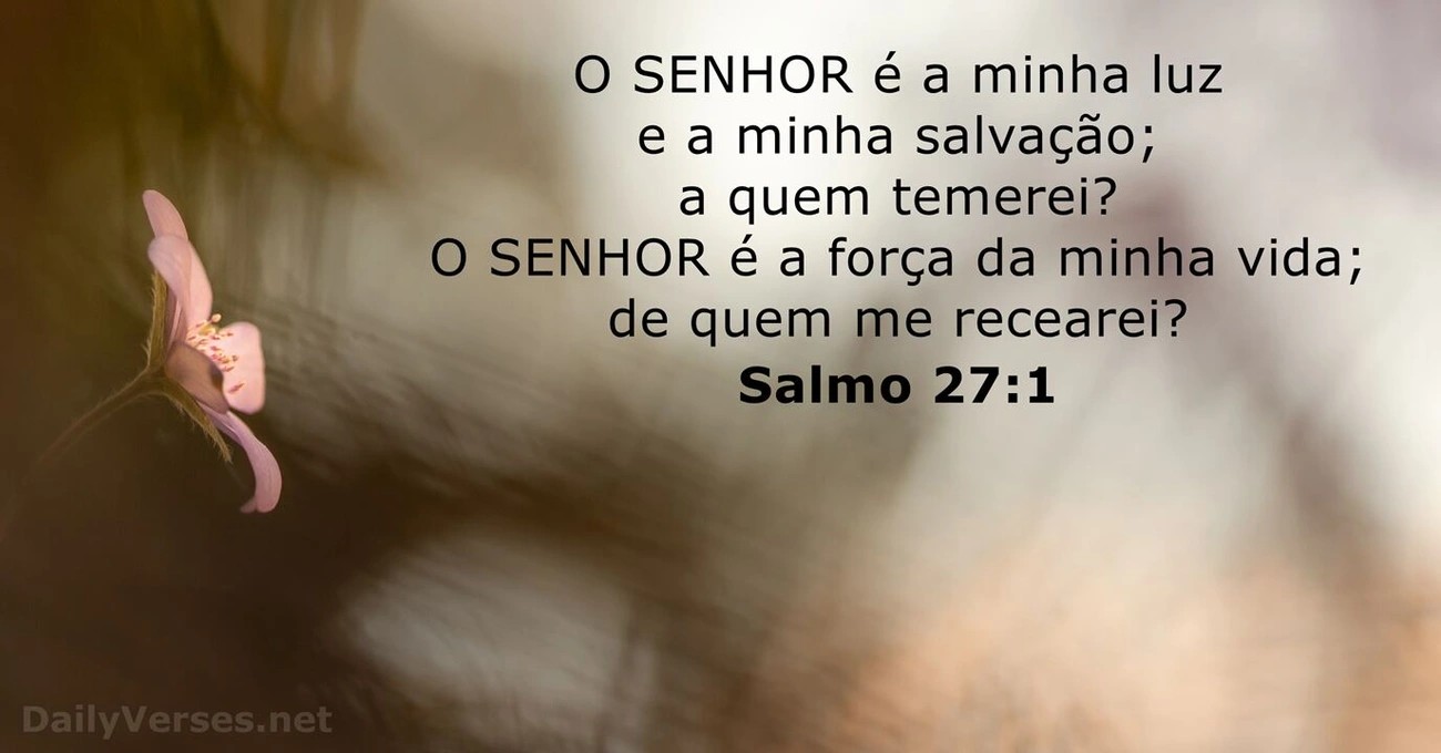 imagem_11.jpg