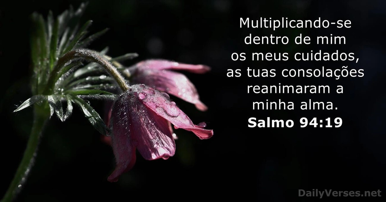 imagem_12.jpg