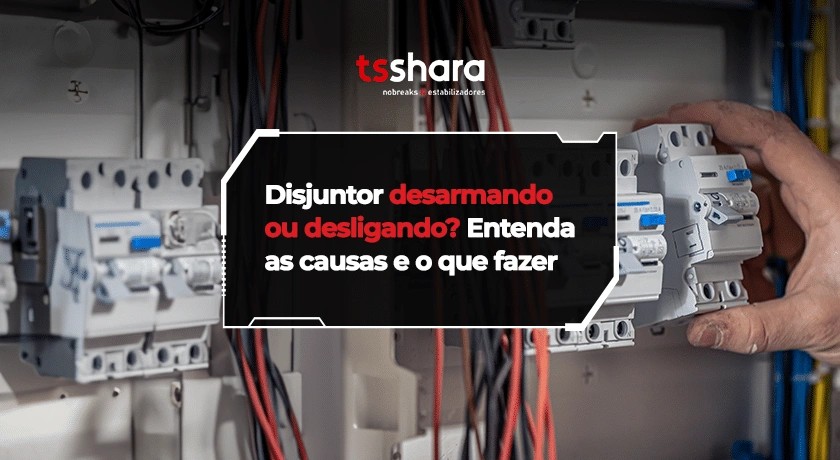 imagem_4.jpg