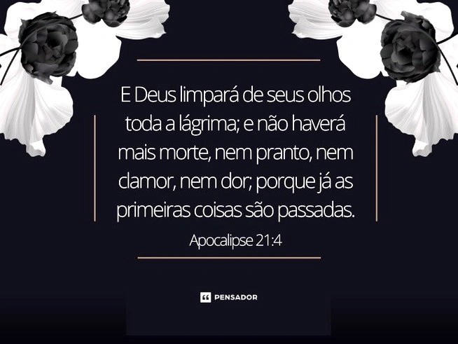 imagem_4.jpg