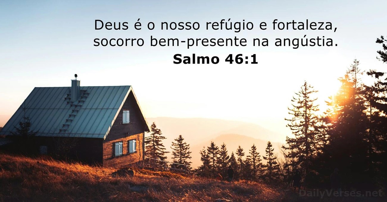 imagem_4.jpg