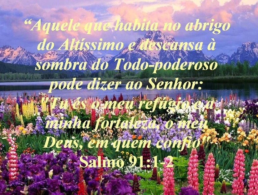imagem_5.jpg