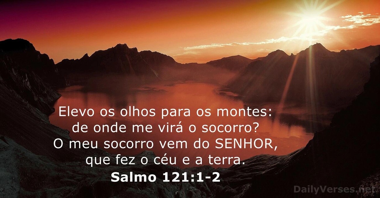 imagem_5.jpg