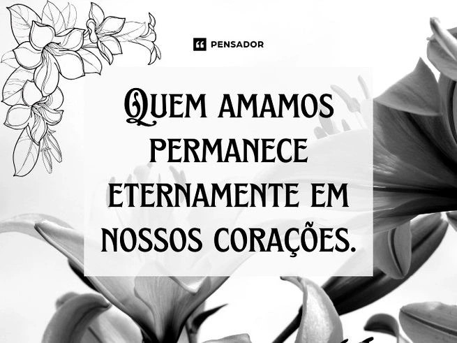 imagem_5.jpg