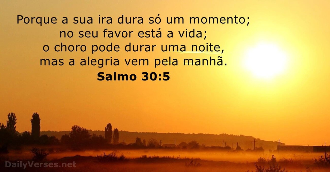 imagem_7.jpg