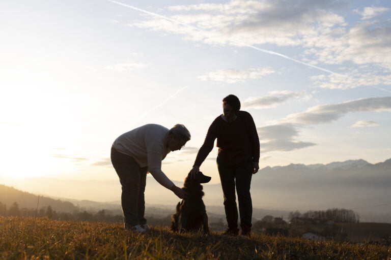 Silhueta de duas pessoas acariciando um cachorro ao pôr do sol em um campo.